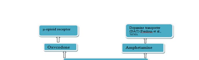 Nurs Week Psychopharmacology Scavenger Hunt Concept Map